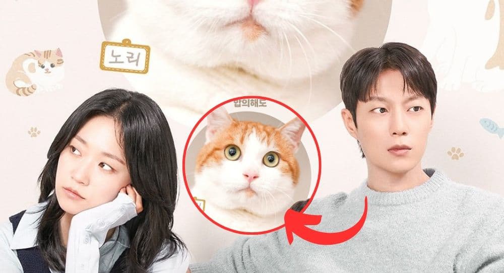 Cuộc Chiến Giành Quyền Nuôi Mèo