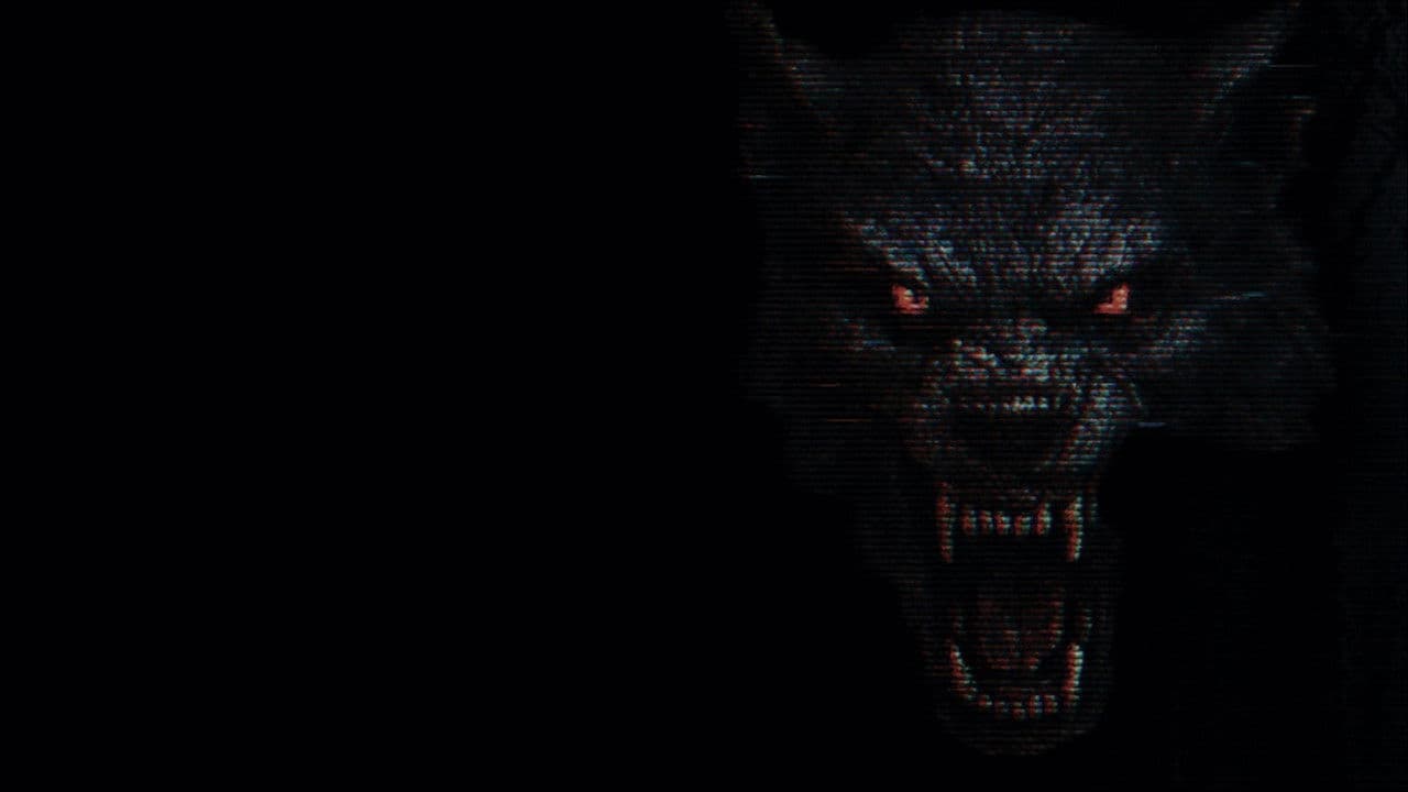 The Fairfield County Four