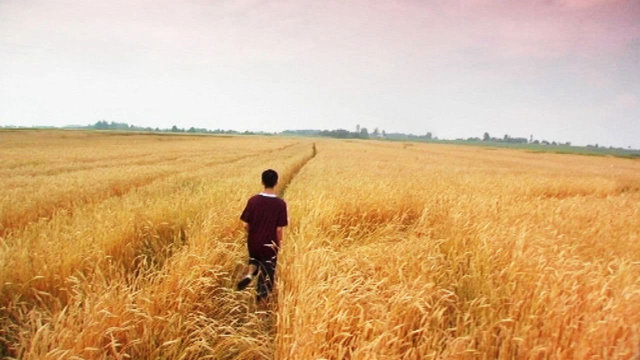 Tôi chỉ yêu người lạ