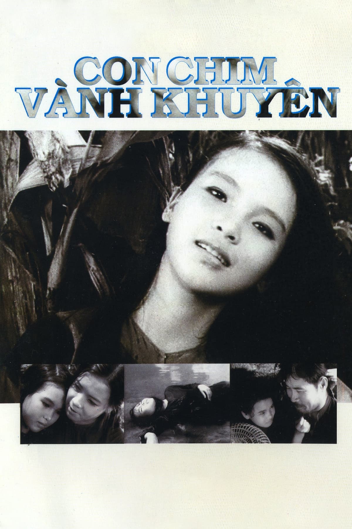 Con Chim Vành Khuyên